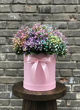 Цветочная композиция из Гипсофила и Розы в шляпной коробке в Пирочи