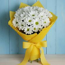 Букет цветов из:  Хризантемы в Пирочи