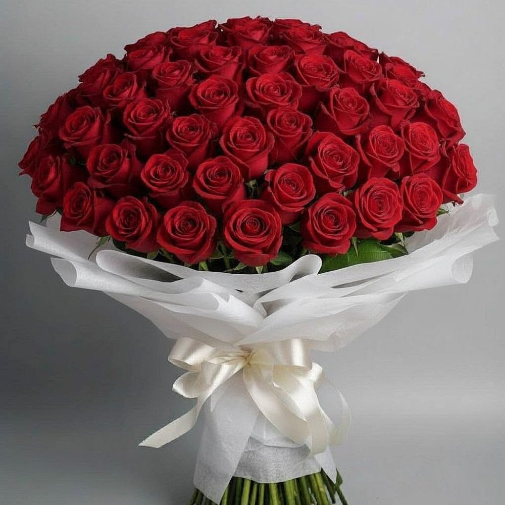 Букет 101 Красная роза Блэк Мэджик в Пирочи