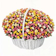 Премиум букет из: Розы в Пирочи