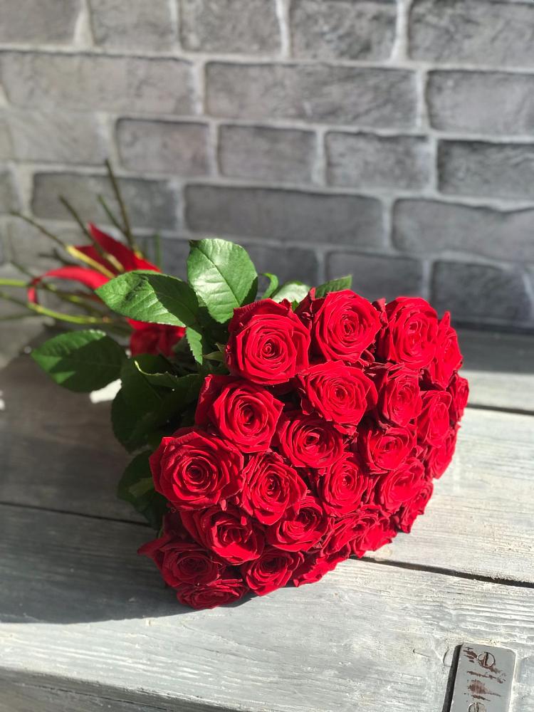 Букет Красные розы Фридом в Пирочи
