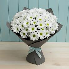 Букет цветов из:  Хризантемы в Пирочи