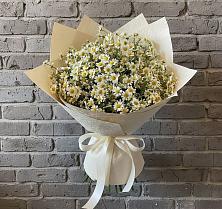 Букет цветов из:  Ромашки в Пирочи