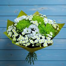 Букет цветов из:  Хризантемы в Пирочи