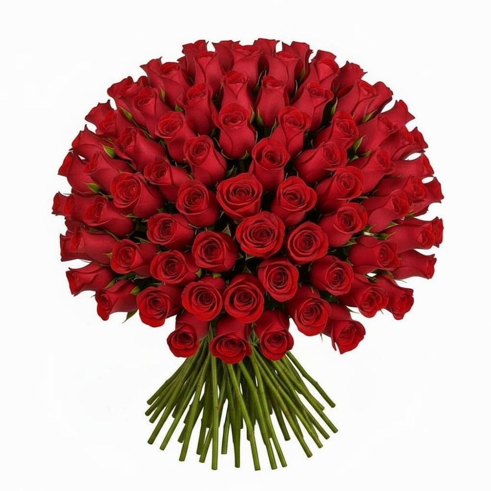 Букет Красные розы Чери Лав в Пирочи