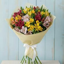 Букет цветов из:  Альстромерии #REPLACE_PRED# Пирочи
