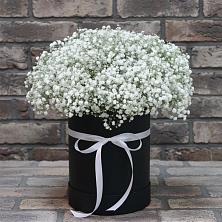 Цветочная композиция из Гипсофила в шляпной коробке в Пирочи