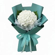 Букет цветов из:  Гортензия в Пирочи